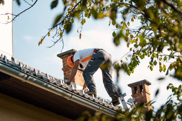 Best Commercial Roofing Services  in Bellevue, MI