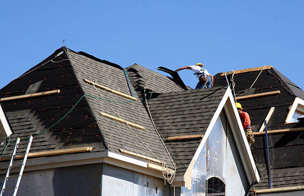 Best Metal Roofing Contractor  in Bellevue, MI
