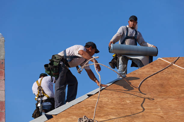 Best Residential Roofing Contractor  in Bellevue, MI