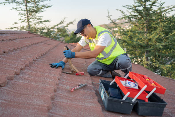 Best Best Roofing Contractors  in Bellevue, MI