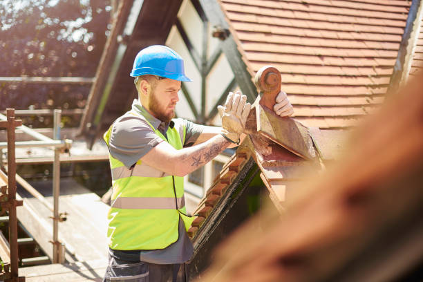 Best New Roof Installation  in Bellevue, MI