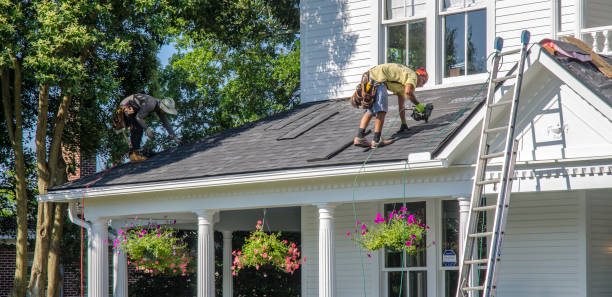 Best Gutter Installation and Roofing  in Bellevue, MI
